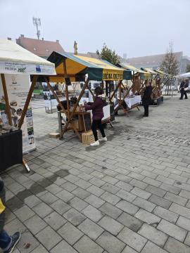 Martinov sejem v Lotmerki (6)